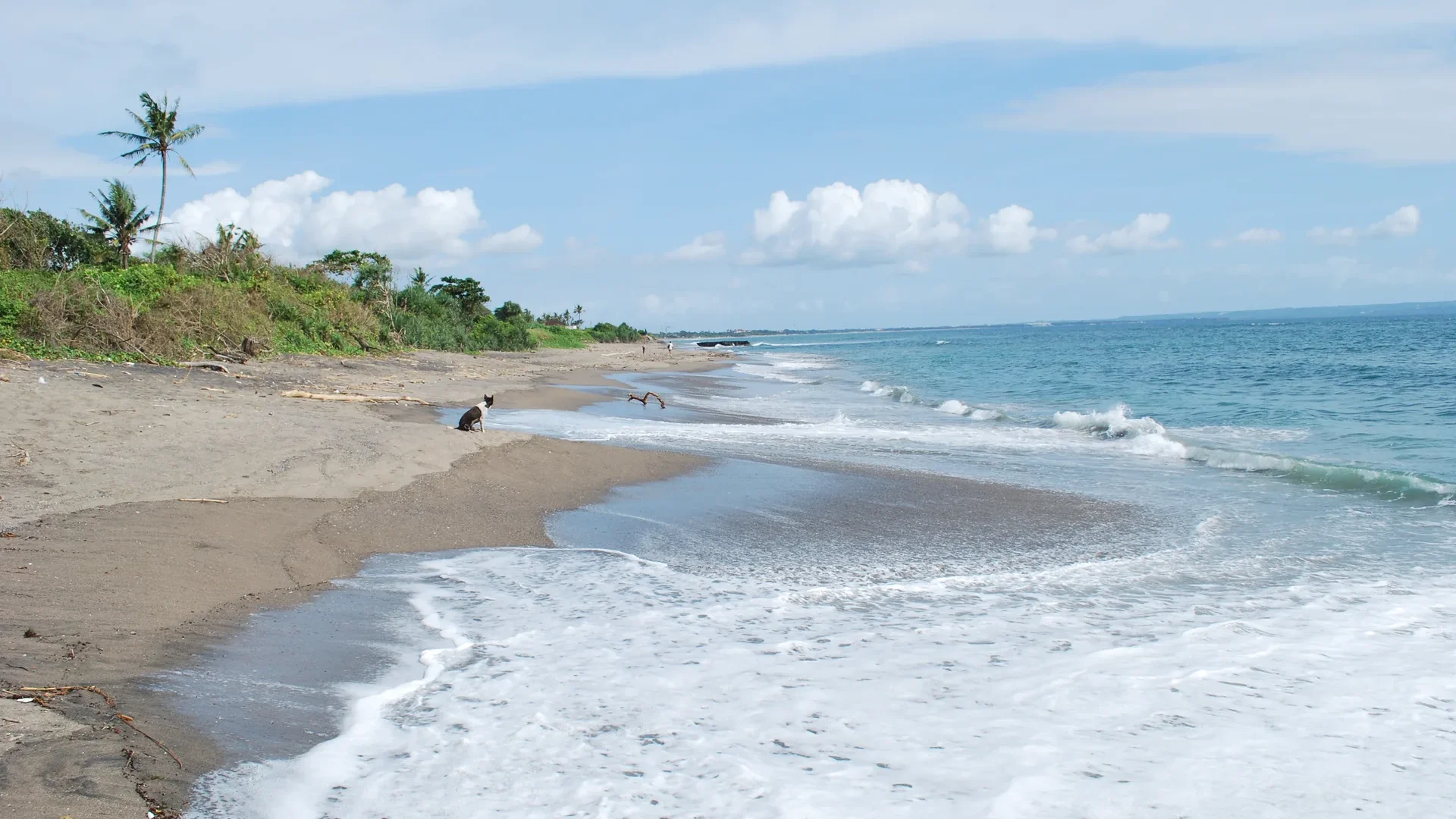 Pantai Canggu, Bali, dengan ombak di pagi hari