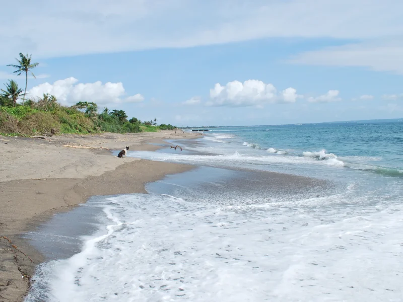 Pantai Canggu, Bali, dengan ombak di pagi hari