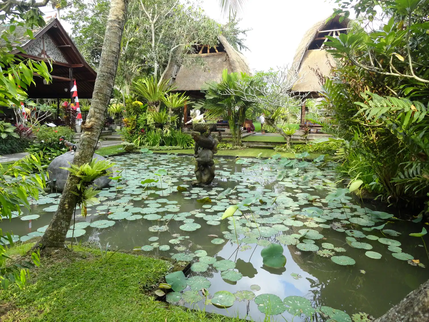 Kolam teratai di Desa Nyuhkuning, Ubud, Bali